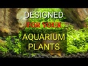 Planteria Aquarium Soil